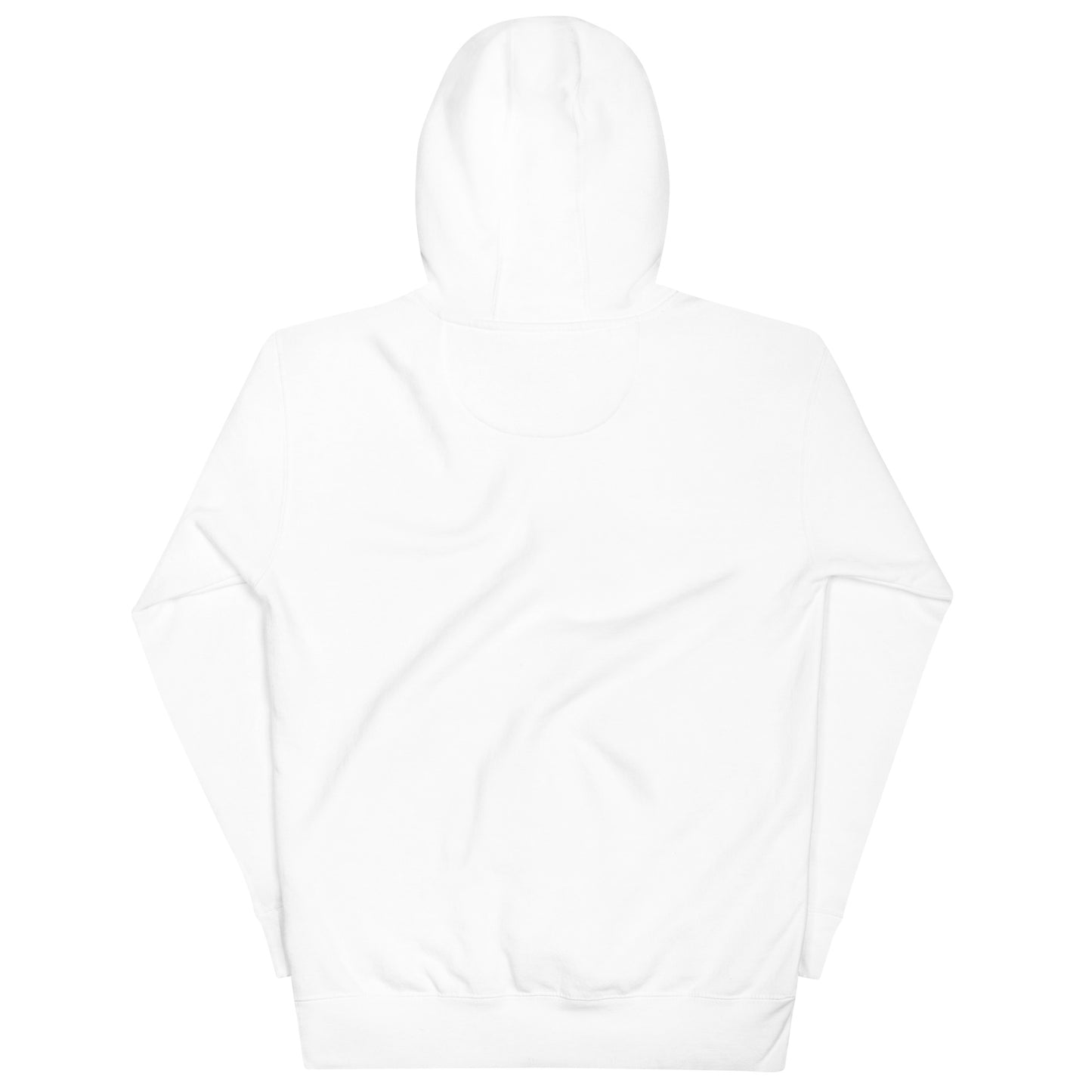 SHADOWS ENTRY #001 UNISEX HOODIE